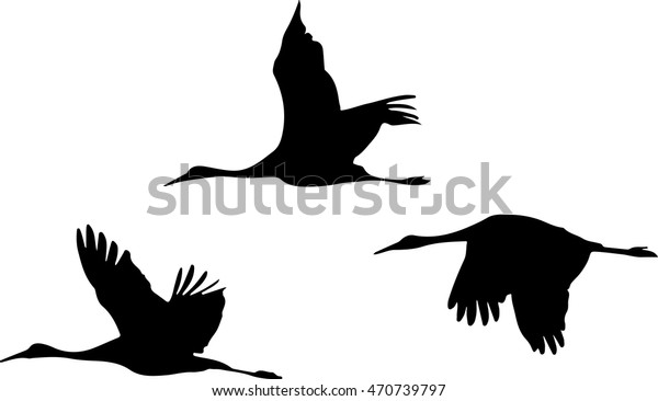 3 Sandhill Cranes Silhouette Stock Vector (Royalty Free) 470739797