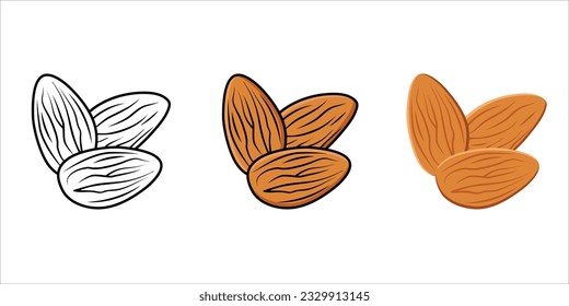 3 set of Almond isolated on white background. vector illustration