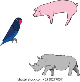3 set animal vector files; parrot, pig and rhino