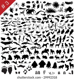 # 3 set of  different animals, birds, insects and fishes  vector silhouettes