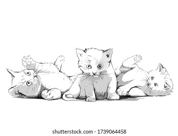 3 sweet adorable kitty hand drawn vector