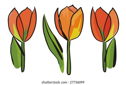 3 tulips isolated on white - vector