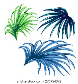3 vector palm leaves. realistic drawing in vintage style, isolated objects