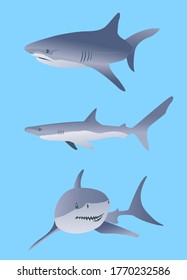 3 vector shark illustration, blue background