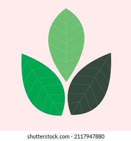 3 imágenes vectoriales de ilustración muy atractivas