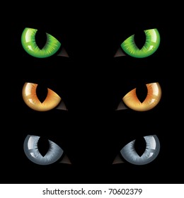 3 Wild Cat Eyes, On Black Background, Vector Illustration