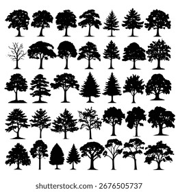 30 Black and White Tree Silhouettes Diverse Collection of Deciduous and Coniferous Trees for Design Pro