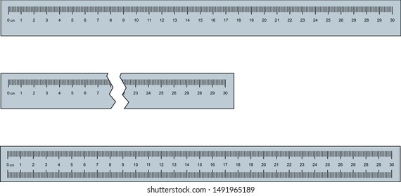 30 cm or 300 mm ruler set vector illustration