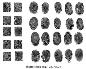 30 Detailed Fingerprints