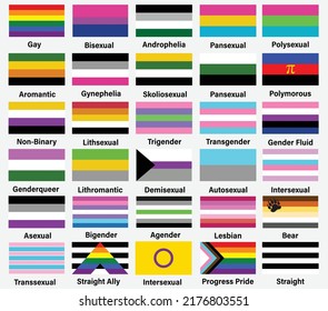 30 Lgbtq Flags Vector Illustration Stock Vector (Royalty Free ...