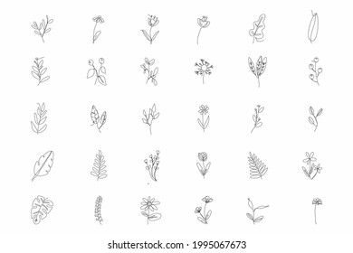 30 Line continuous art of floral vector