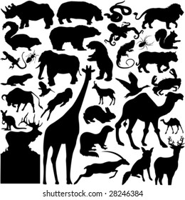 30 pieces of detailed vectoral wild animal silhouettes