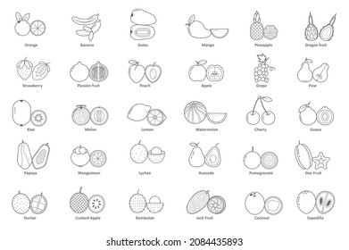 30 set icon simple fruits line art 