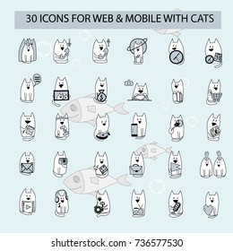 30 Universal CATS Icons For Web and Mobile