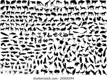 300 vector silhouettes animals (mammals  birds  fish  insects)