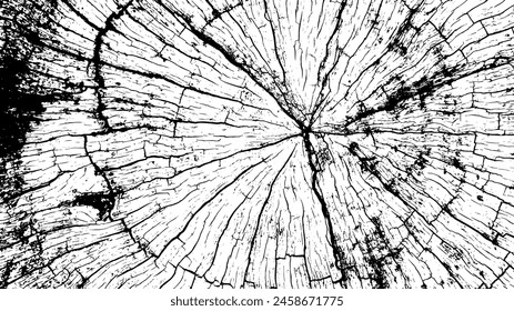 3-16.Wood Section Texture - Illustration. Nite Vector Texture in Old Trees