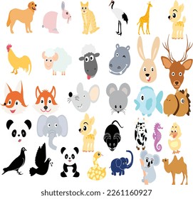 32 Different types of wild animals 