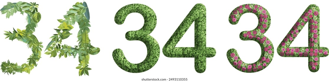 34, diseño hecho de hierba verde, hojas y flor, .conveniente para Plantillas de cumpleaños, aniversario y día conmemorativo, vaya concepto verde	
