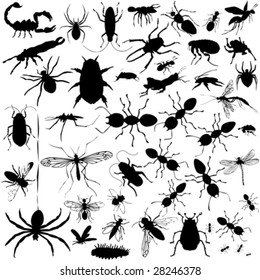 37 pieces of detailed vectoral bug silhouettes.