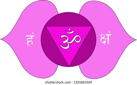 372019, File: Vector, Image : 3rd Eye Chakra , Color Purple, 2 Petals.  It Is The 6th Chakra In Kundalini.