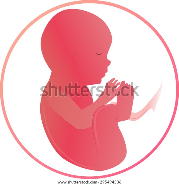 37-40 weeks human embryo illustration.\
Development of the embryo in the womb. The development of the child\
in the mother\'s stomach on the white\
background