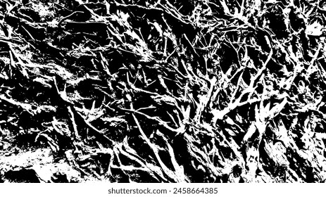 3-87.Tree root texture effect - illustration. Old wood black and white vector texture.