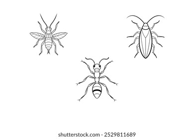 Vetor de 3 feixes de barata, formiga, cricket insetos 1