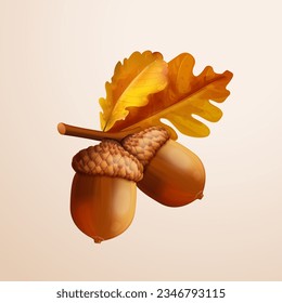 3d acorn. Realistic oak nut with leaves, isolated acorns and fall leaf for autumn nature background decoration, exact vector illustration of acorn nut oak, nature tree leaf