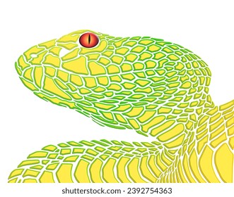 3D Amazing design wild phyton reticulatus viper snake vector with luxurious colour