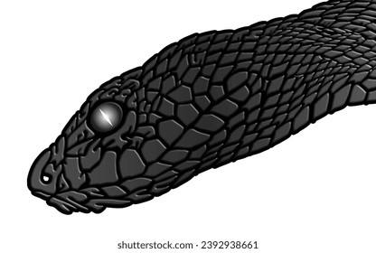 3D Amazing design wild phyton reticulatus viper snake vector with luxurious colour