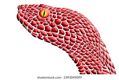 3D Amazing design Wildphyton reticulatus Vper Schlangen Vektor mit luxuriösen Farben