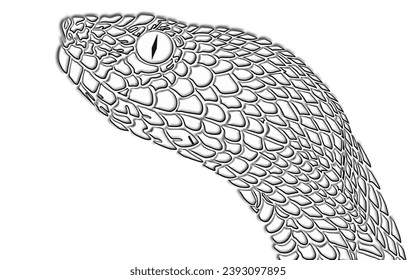 3D Amazing design wild phyton reticulatus viper snake vector with luxurious colour