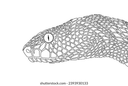 3D Amazing design wild phyton reticulatus viper snake vector with luxurious colour
