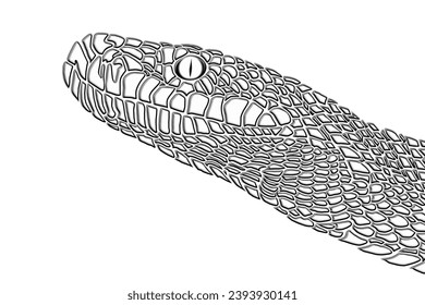 3D Amazing design wild phyton reticulatus viper snake vector with luxurious colour