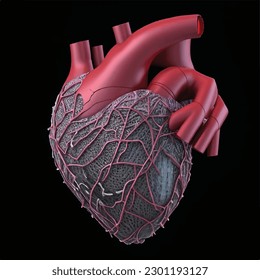3D-Anatomie der Cyborg-Herzerkrankung