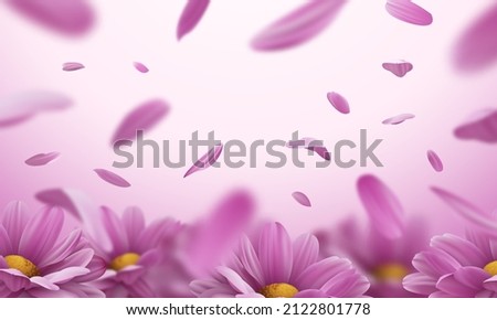 3d background with realistic pink chrysanthemum flowers and falling petals. Vector illustration