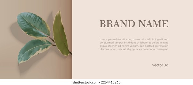 3d beige banner for natural beauty products with vector realistic tropic leaves. Modern template floral illustration leafs plant for web poster, flyer, stylish brochure, greeting card, cover.