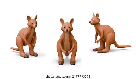 3D big kangaroo, view from different sides. Wild marsupial animal