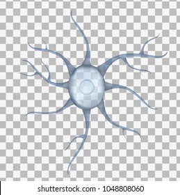 Neurona humana azul 3d aislada sobre fondo transparente. Ilustración vectorial realista. Plantilla para presentaciones de medicina y biología, folletos, carteles. Eps10.