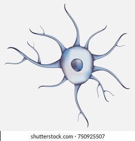 3d Blue human neuron isolated on white background. Realistic vector illustration. Template for medicine and biology presentations, flyers, posters. Eps10.