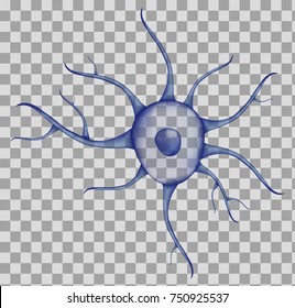 3d Blue human neuron isolated on transparent background. Realistic vector illustration. Template for medicine and biology presentations, flyers, posters. Eps10.