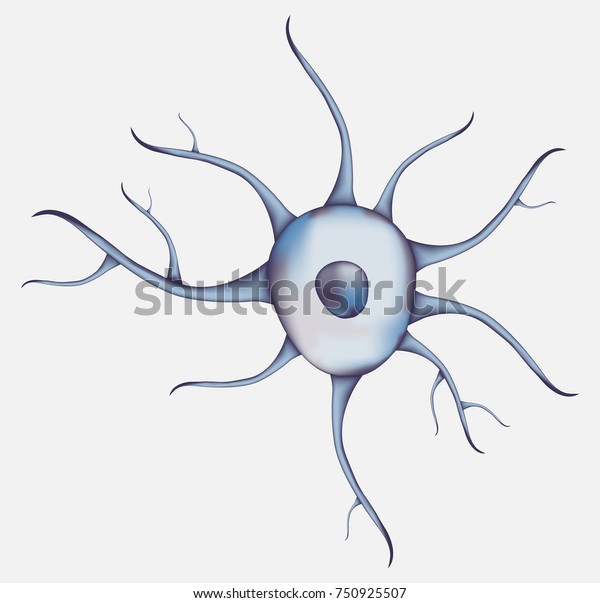 3d Blue Human Neuron Isolated On Stock Vector (Royalty Free) 750925507 ...