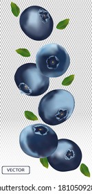 3D blueberry with green leaf. Juicy ripe berry blueberries on a transparent background. Fresh wild summer berry. Illustration for your poster, banner. Vector illustration