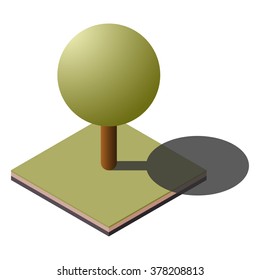 3D Building: Vector isometric tree ground.