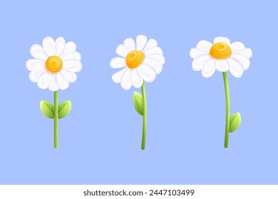 3d chamomile. Daisy flower plant closeup, camomile sunny summer spring flowers beauty nature floral decoration, isolated daisies buds exact realistic render vector illustration of blossom chamomile