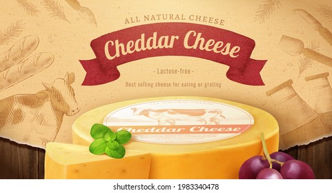 Anuncio de pancarta de queso cheddar 3d. Anuncio de la rueda de queso natural servido con hojas de menta y uvas sobre un fondo de cultivo de monotona