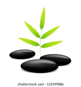 3d chill out spa design vector with bamboo leaves and black stones