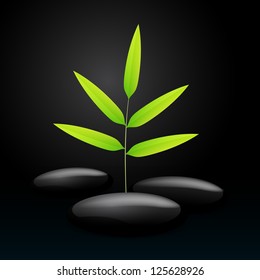 3d chill out spa night design vector with bamboo leaves and black stones