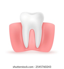 3d Limpar dente saudável com goma em um fundo branco. Conceito de medicina dentária da estomatologia.