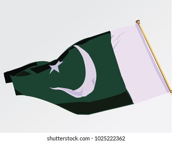 3D cloth vector illustration of Pakistan Flag